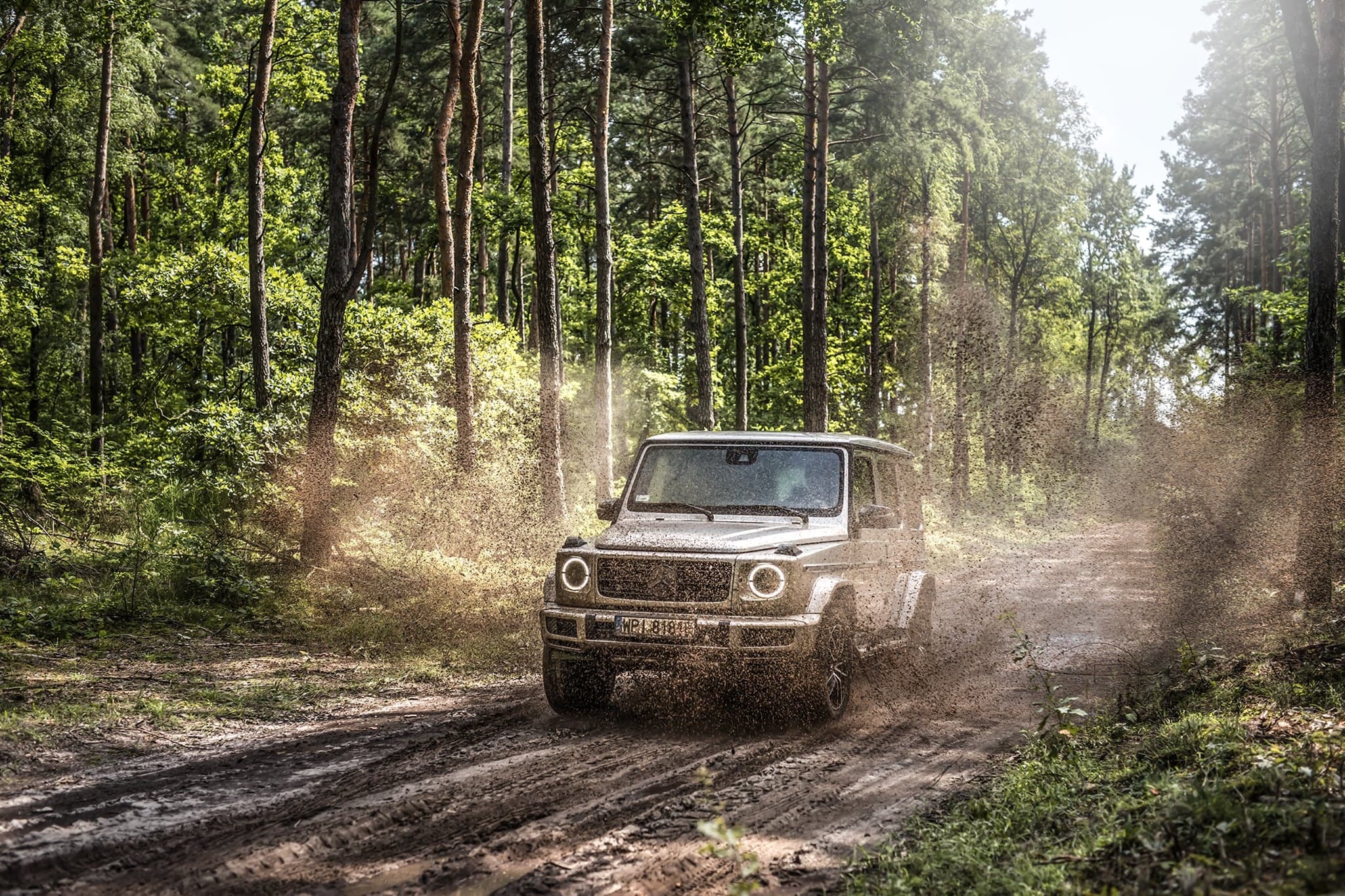 Mercedes Terenowy